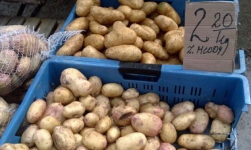 Цена картошки на рынке в Сокулке