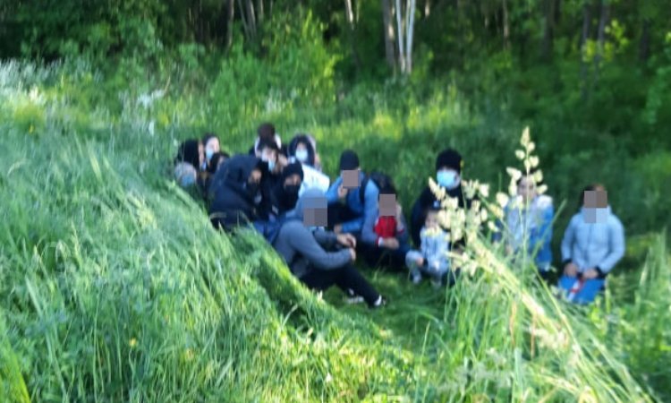 Мигранты задержаны на границе Литвы и Беларуси