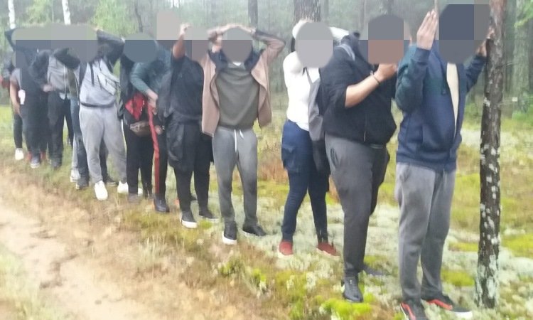 Мигранты задержанные в Литве в лесу пришли из Беларуси