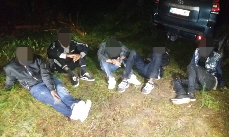 Мигранты из Беларуси задержан в Литве ночью