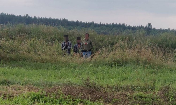 Мигранты в кустах на границе Литвы и Беларуси