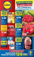 Lidl газетка в Польше