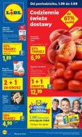 Lidl газетка в Польше